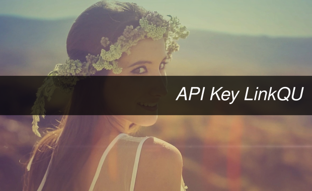 API Key LinkQU